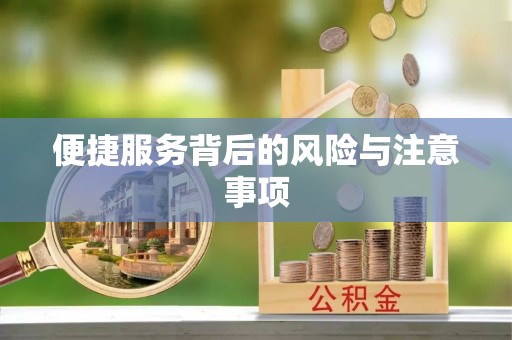 安仁便捷服务背后的风险与注意事项