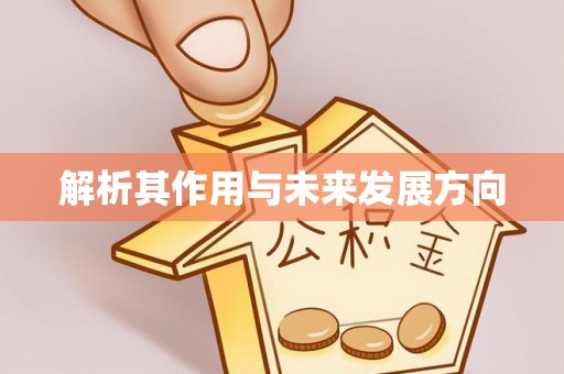 安仁解析其作用与未来发展方向