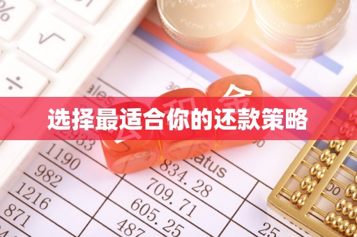 安仁选择最适合你的还款策略