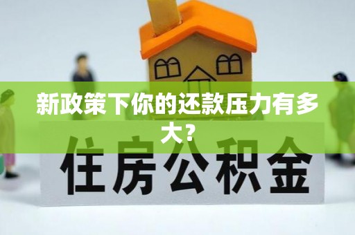 安仁新政策下你的还款压力有多大？