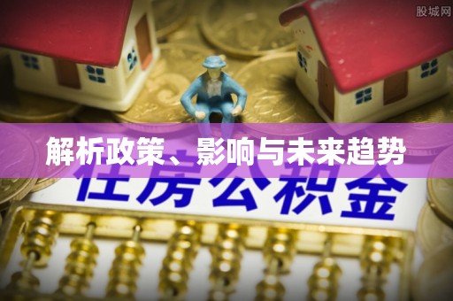 安仁解析政策、影响与未来趋势