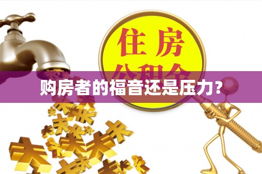 安仁购房者的福音还是压力？