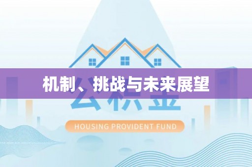 安仁机制、挑战与未来展望